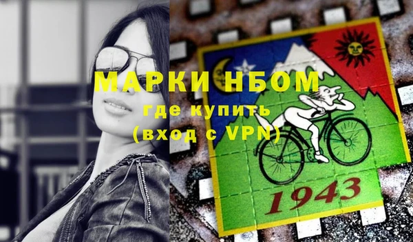 дживик Богородск