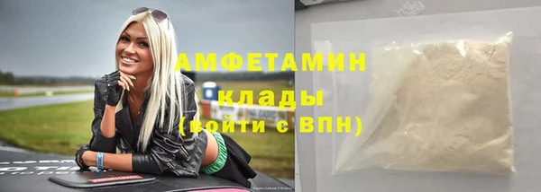 дживик Богородск
