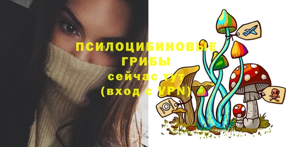 дживик Богородск