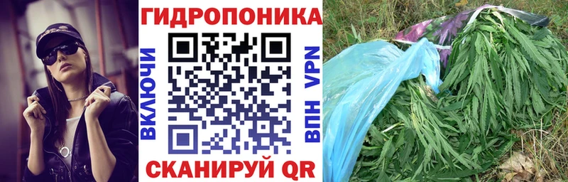 наркота Ковылкино Каннабис марихуана